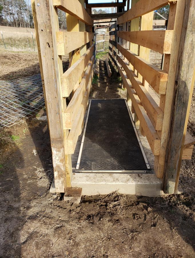 Digital bench scale with precision display used for accurate commercial weighing and scale sales applications in El Paso, TX