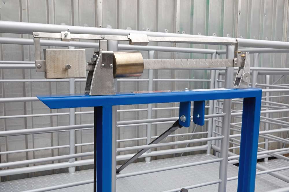 Scale Consultation San Elizario